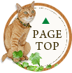 PAGETOP